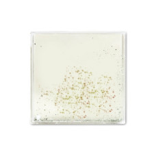 Kvadrātveida foto rāmis ar zeltā vai sudrabā spidumiem, ar Jūsu foto